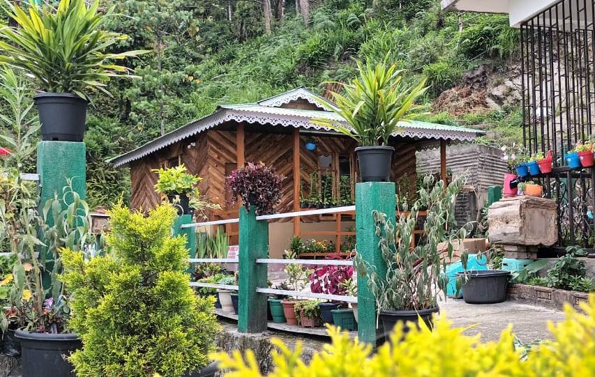 MEADOW HOMESTAY
