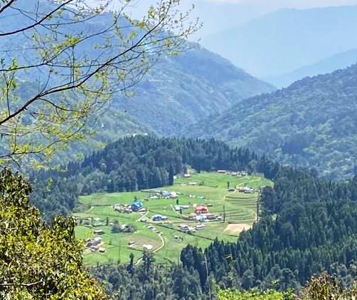 Rhododendron Village Homestay