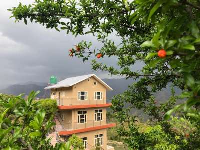 Blue Mountain Cottage and Natural Farms