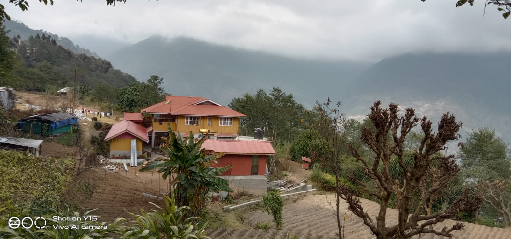 PEACE  HOMESTAY