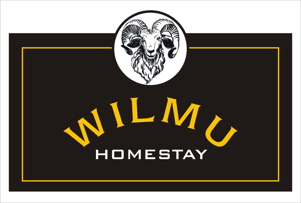 Wilmu homestay 